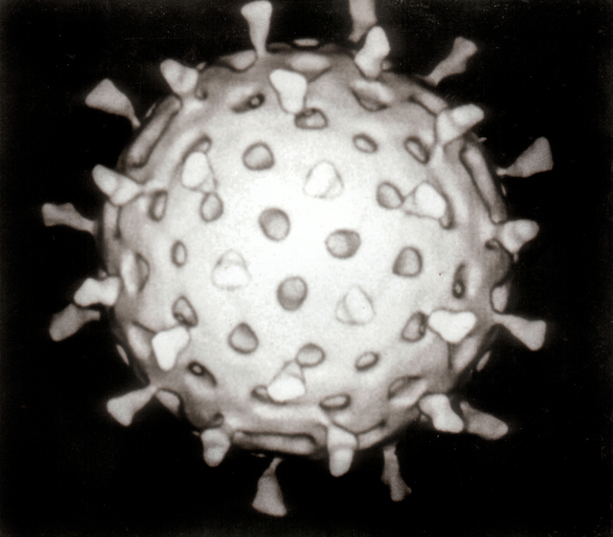 (c) Graham Beards https://commons.wikimedia.org/wiki/File:Rotavirus_Reconstruction.jpg